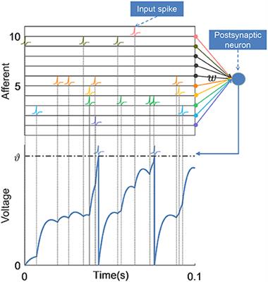 Voltage slope guided learning in spiking neural networks